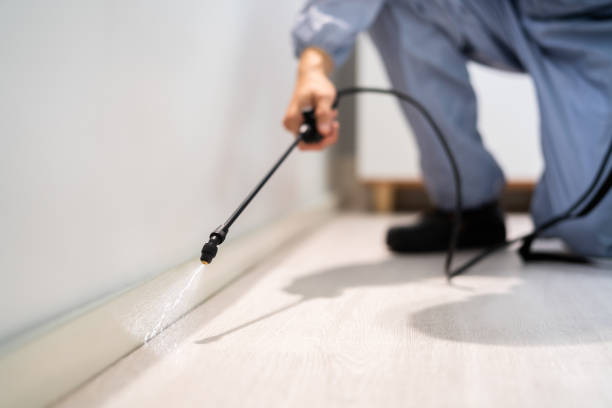 Rodent Entry Point Assessment in Garden City