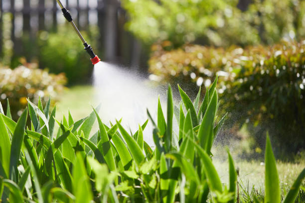 Tamper-Resistant Bait Stations for Rodents in Garden City